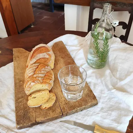 Cara House Tuscany - Zona Lucca Holiday home Chiatri
