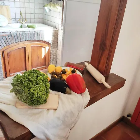 Holiday home Cara House Tuscany - Zona Lucca *
